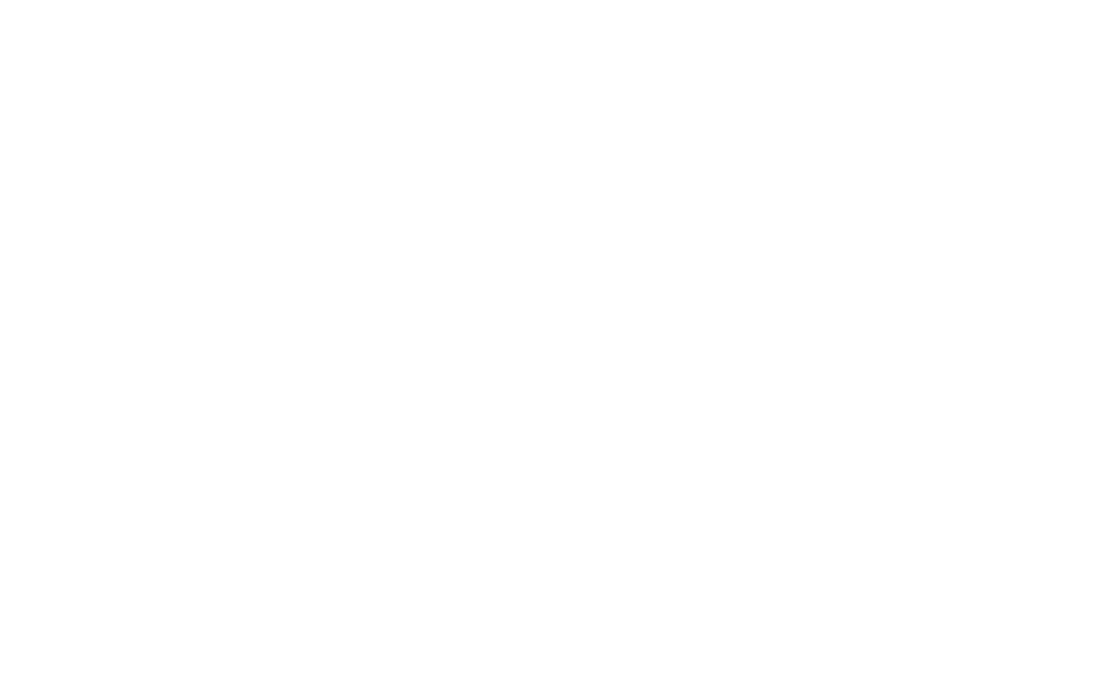 A biztonságos rendezvény feltételei